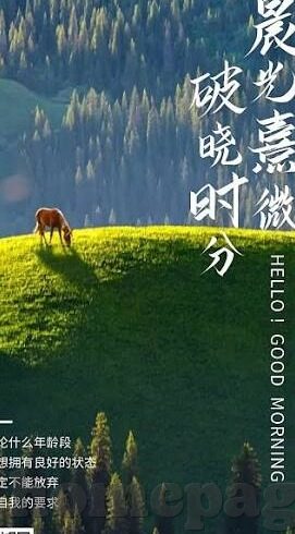 麻豆嫩草视频网站-麻豆嫩草，一个关于网络时代内容创作与青少年保护的审视
